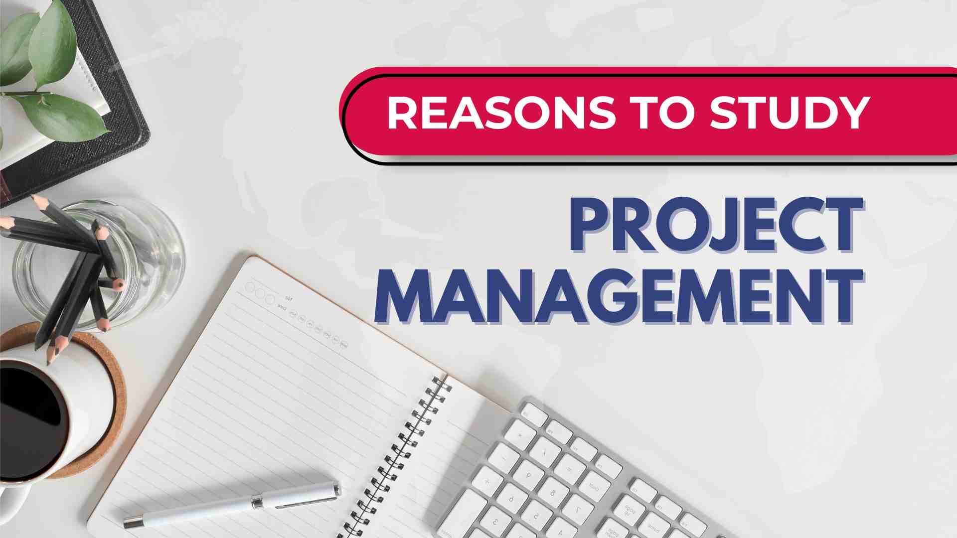 Reasons to study project management